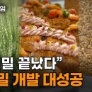 [다큐S프라임] 1%의 사투, 우리밀 독립선언 이미지