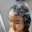 뚱이헤어 이미지