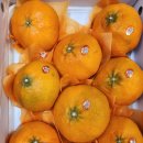 충주청과 이미지