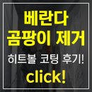 베란다 곰팡이 제거 &amp; 재발방지 코팅 후기