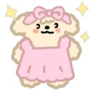 공주애견&Black Dog 이미지