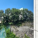 대동고등학교 이미지