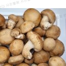 노화농장 이미지
