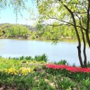 수월한공인중개사사무소 이미지