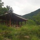 구미정 네이버블로그