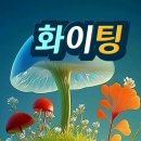그날이오면 이미지