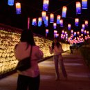 청사초롱 이미지