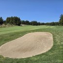 사이프러스CC 이미지