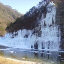 춘양다방 Daum카페