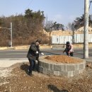 거성개발