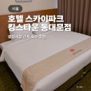 호텔스카이파크명동지점 | 호텔 스카이파크 킹스타운 동대문, 광장시장 근처 숙소 추천