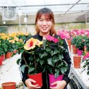 무궁화농장 이미지