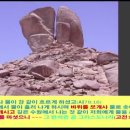 금송아지 이미지