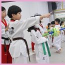 경희대 으뜸 태권도장 이미지