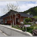 수수꼭다리 네이버블로그