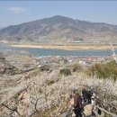 청매실농원 이미지