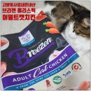 고양이집사 | 브리젠 고양이사료 내돈내산 후기 | 고양이 기호성부터 집사 솔직 리뷰까지
