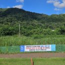 능주파크골프장 이미지