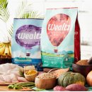 디비에스 주식회사 이미지