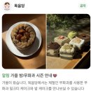목음당 | 서울 안국역 한옥 테라스 카페 [목음당] 추천 & 솔직후기