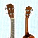 (초보자를 위한) 우쿨렐레 이미지