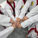 청솔태권도 이미지