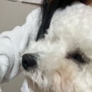 삼공케이크