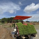 논향농장 | 당진 쌀 추천 해욱미, 향부터 다른 집밥용 쌀 후기