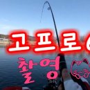 장어랑송어랑 이미지