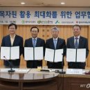 진흥임목 머니투데이
