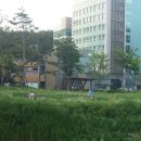 서초힐스아파트 앞 이미지