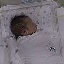 마미맘스산후조리원 이미지