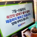 세종시 금남면맛집 경성칼국수 가성비 좋은 보쌈과 푸짐한 칼국수 맛있게 즐긴 후기