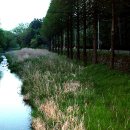 광릉수목원 이미지