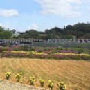 인양양초장 | 식초 🫙 추천] 항아리에 빚은 자연발효 식초, 인양양초장 8년숙성 인양현미흑초 후기❗️(부모님 선물 추천)