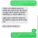 그루밍 하와이 이미지