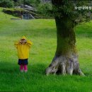 수산나고시원