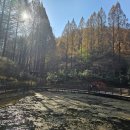 해냄 행정사 사무소 이미지