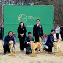 달구벌진도 이미지