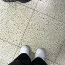 비로소피자 이미지