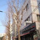 로제타커피 이미지