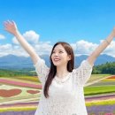 젠힐링트리 | 삿포로 비에이 버스투어 예약 | 후라노 일일 투어 코스 비교