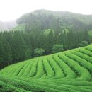 벌교농수산유통 이미지