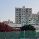 아주초등학교 이미지