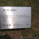 인식`작용-자아 Daum카페