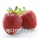 암 예방 비타민D 섭취 이미지