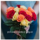 (주)우리사랑 Daum카페