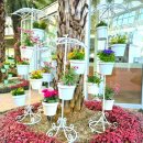 부천호수식물원 수피아 이미지