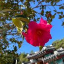 봉소1리 이미지