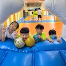 동아대박사한결태권도 이미지